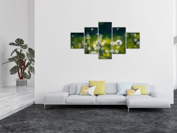 Obraz - Trawa (125x70 cm)