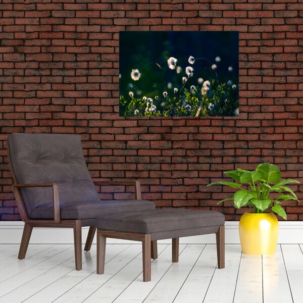 Obraz - Trawa (70x50 cm)