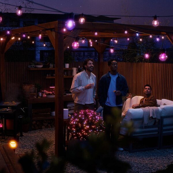 Philips Hue Łańcuch świetlny LED Festavia Globe 14 m 20 szt. IP65 Globe, możliwość ściemniania, czarny, metal, nowoczesny