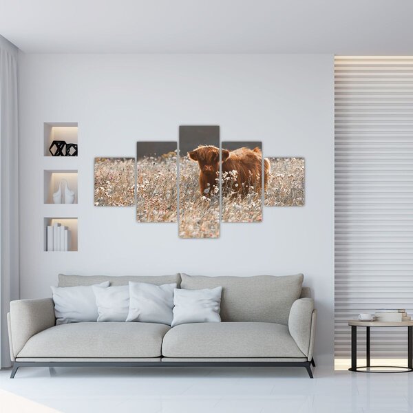 Obraz - Szkocka krowa w kwiatach (125x70 cm)