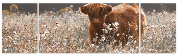 Obraz - Szkocka krowa w kwiatach (170x50 cm)