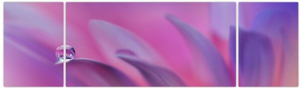 Obraz - Kropla na kwiecie (170x50 cm)