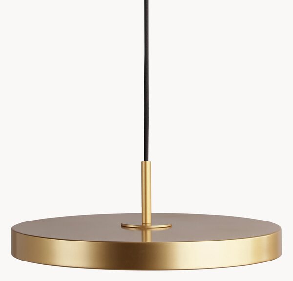 Lampa wisząca LED Asteria, różne rozmiary