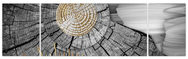 Obraz - Pień drzewa w kolażu (170x50 cm)