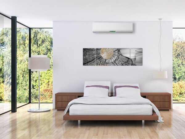Obraz - Pień drzewa w kolażu (170x50 cm)