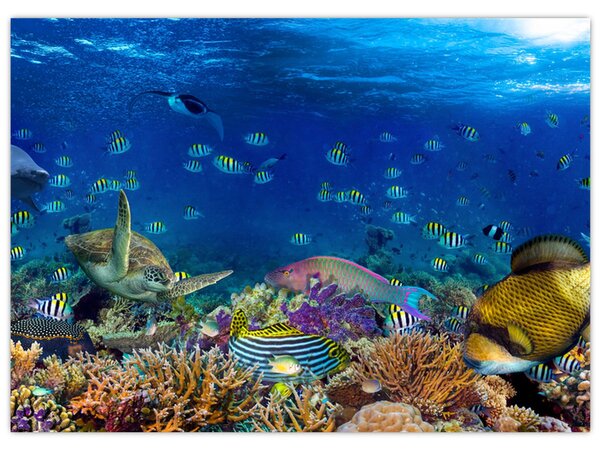 Obraz - Ocean (70x50 cm)