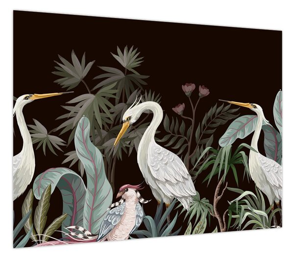 Obraz - Ptaki (70x50 cm)