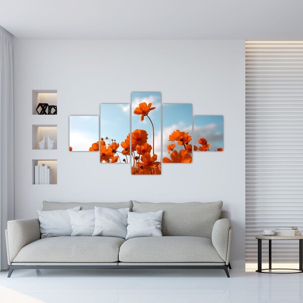 Obraz - Łąkowe kwiaty (125x70 cm)