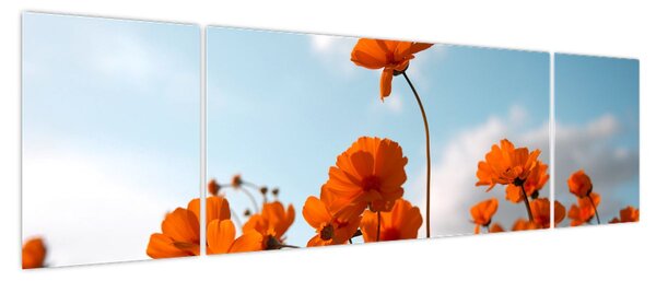 Obraz - Łąkowe kwiaty (170x50 cm)