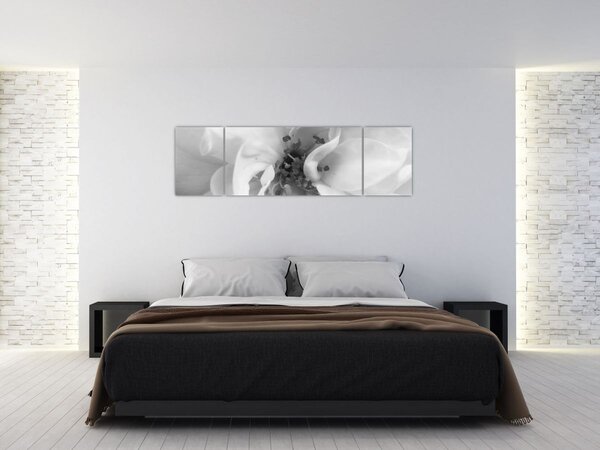 Obraz - Kwiat, czarno - biały (170x50 cm)