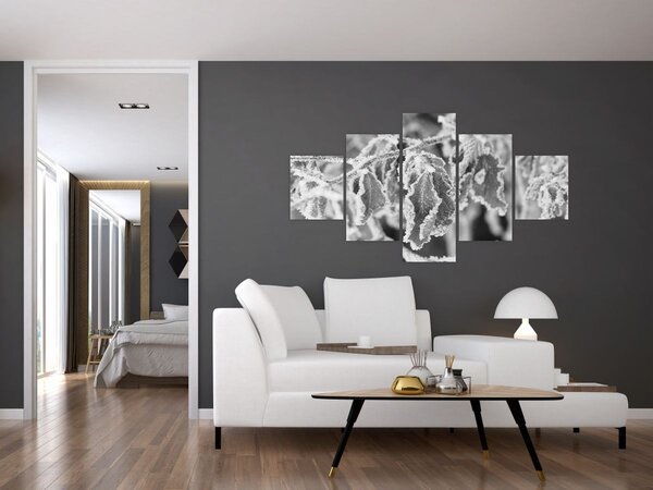 Obraz - Zmarznięte liście, czarno - biały (125x70 cm)