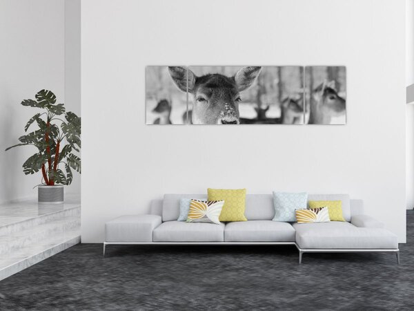 Obraz - Jelonki, czarno - biały (170x50 cm)
