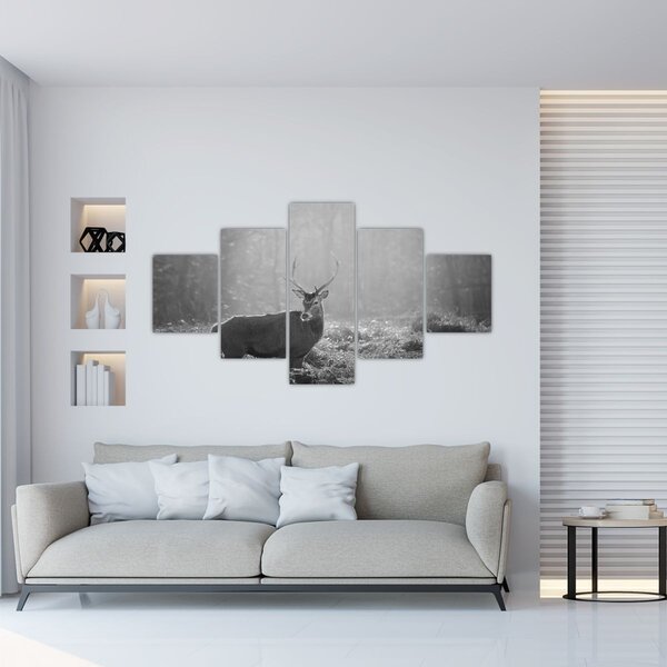 Obraz - Jeleń w lesie, czarno - biały (125x70 cm)