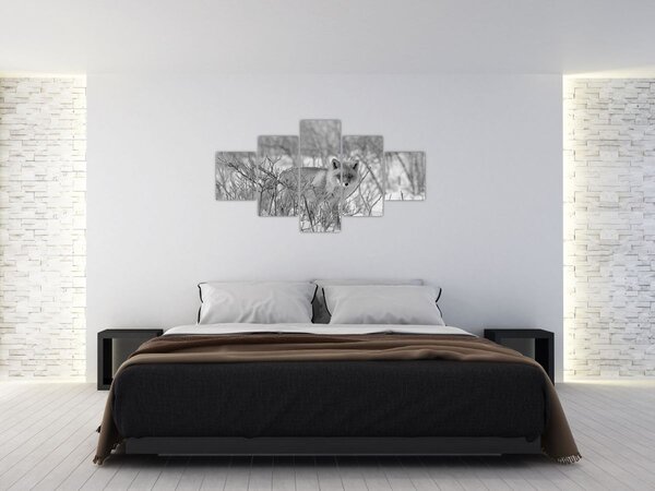 Obraz - Lis, czarno - biały (125x70 cm)