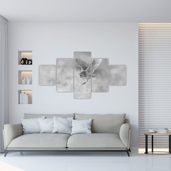 Obraz - Sowa, czarno - biały (125x70 cm)