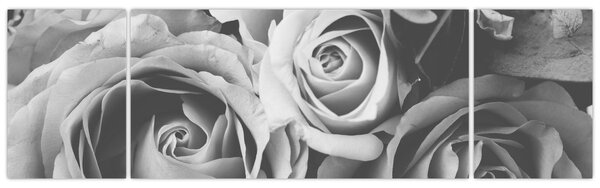 Obraz - Róża, czarno - biały (170x50 cm)