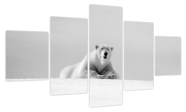 Obraz - Niedźwiedź polarny, czarno - biały (125x70 cm)