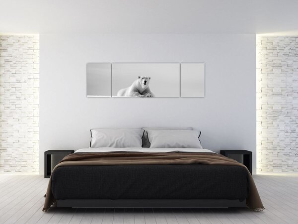 Obraz - Niedźwiedź polarny, czarno - biały (170x50 cm)