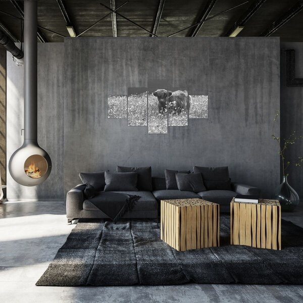 Obraz - Szkocka krowa 5, czarno - biały (125x70 cm)