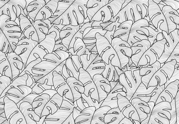 Fototapeta - Liście monstery (196x136 cm)