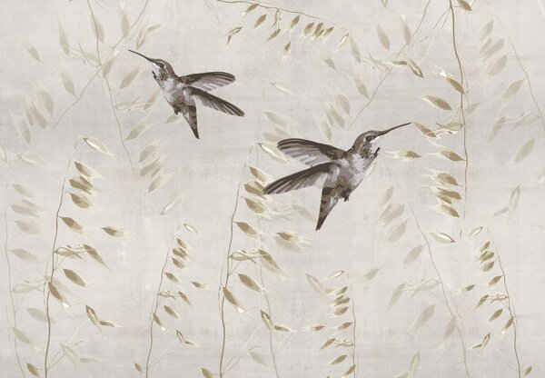 Fototapeta - Kolibry, wektor (196x136 cm)