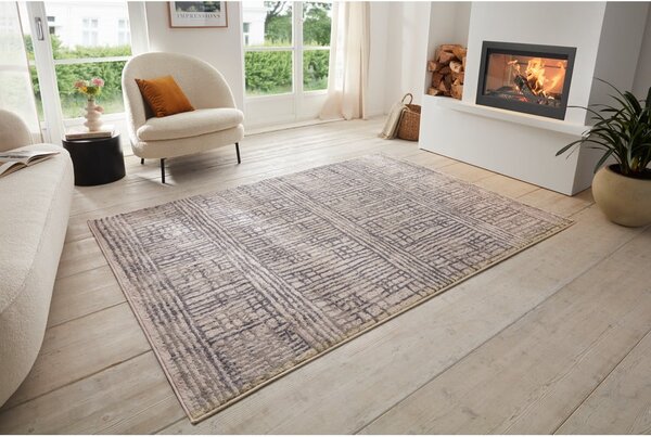 Szary dywan 80x120 cm Terrain – Hanse Home