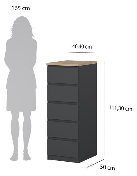 Ciemnoszara komoda 40x111x50 cm Naia – Tvilum