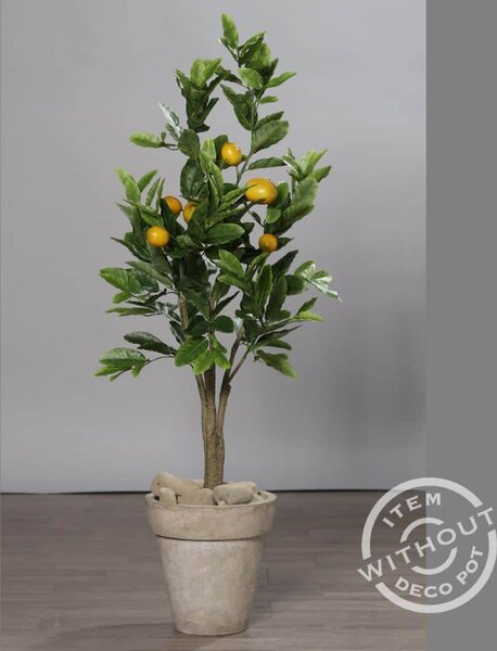 Drzewko Cytrynowe - 120