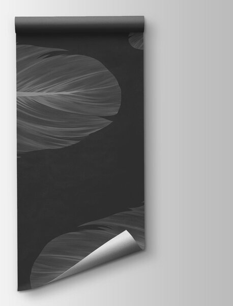 Fototapeta Grupa piór unoszących się w powietrzu, Fototapety pióra, Popularne Fototapety, t00929v2 - Tapeko.pl