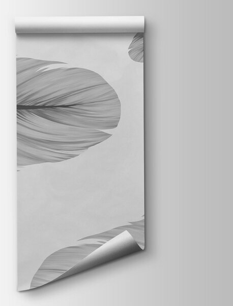 Fototapeta Grupa piór unoszących się w powietrzu, Fototapety pióra, Popularne Fototapety, t00929v1 - Tapeko.pl