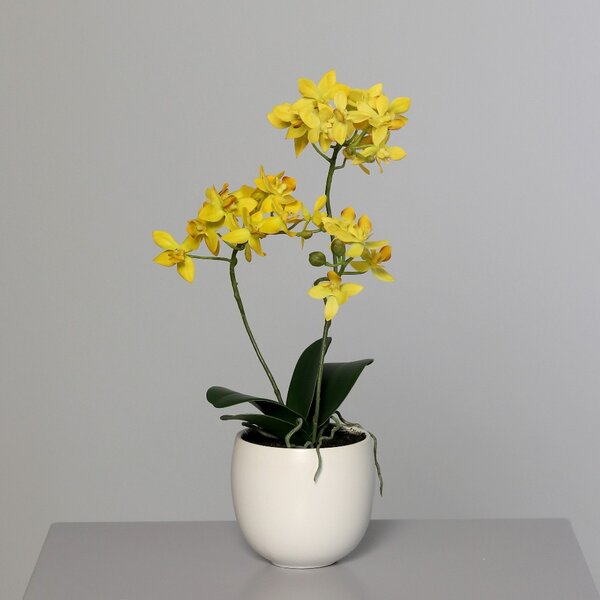 Sztuczna Orchidea w Doniczce 36 cm - Kolory