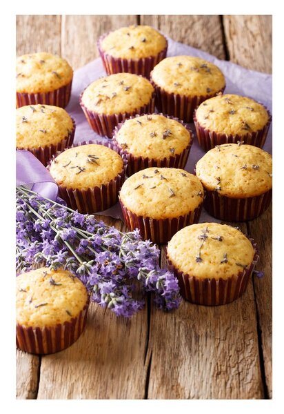 Metalowa forma do pieczenia muffinów 26x42 cm Grande – Orion