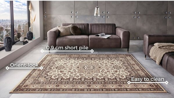Beżowy dywan Nouristan Parun Tabriz, 80x150 cm