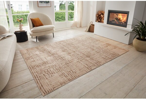 Brązowy/beżowy dywan 80x120 cm Terrain – Hanse Home