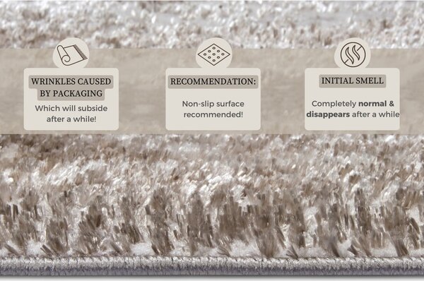 Dywan w beżowo-srebrnym kolorze 57x90 cm Shine Classic – Hanse Home