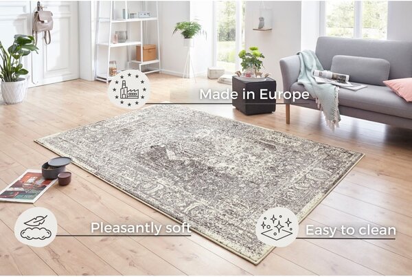 Szaro-kremowy dywan Hanse Home Celebration Plume, 120x170 cm
