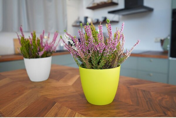 Gardenico Doniczka Ella matowy biały, śr. 18 cm, śred. 18 cm