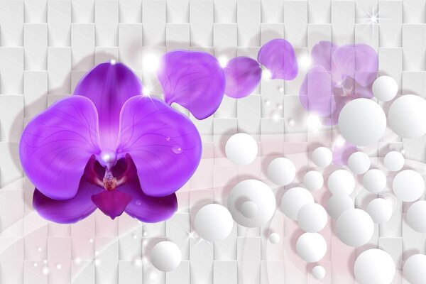 Tapeta orchidea na abstrakcyjnym tle