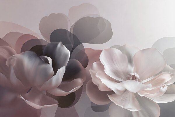 Fototapety Abstrakcyjna kompozycja kwiatowa z motywem magnolii, Fototapety Kwiaty, w09930 : Uwalls.pl
