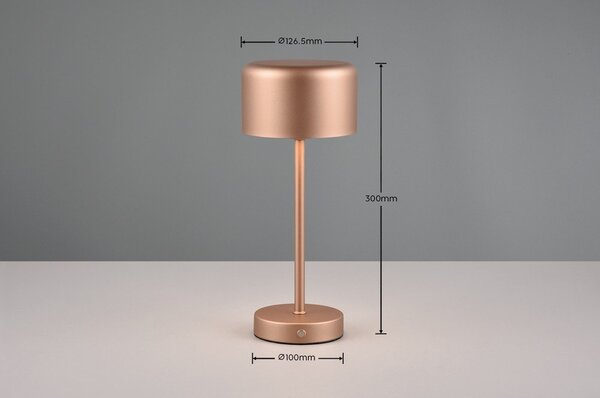 Lampa stołowa LED w kolorze miedzi ze ściemniaczem (wys. 30 cm) Jeff – Reality