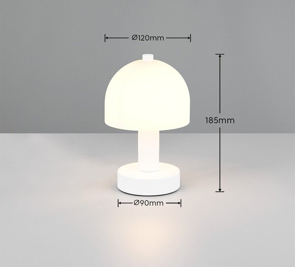 Biała lampa stołowa ze szklanym kloszem (wysokość 19 cm) Glenn – Reality