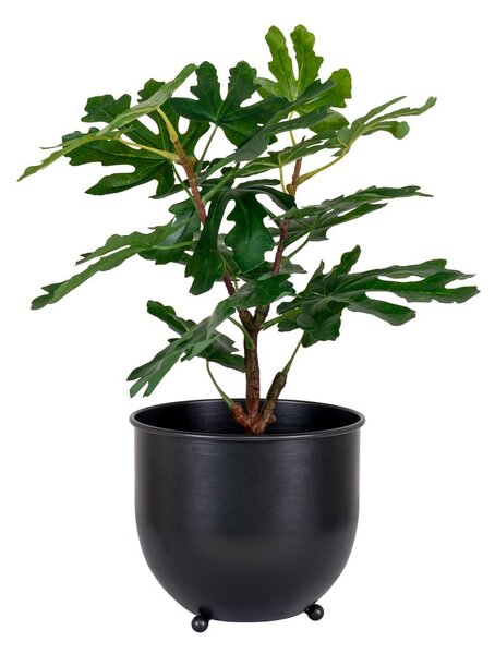 Sztuczna roślina (wysokość 60 cm) Fig – House Nordic