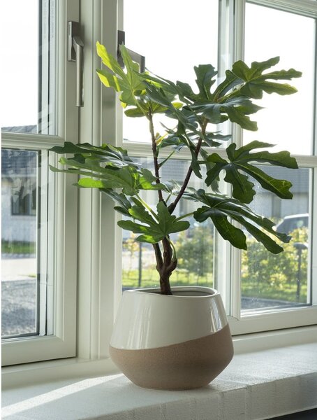 Sztuczna roślina (wysokość 60 cm) Fig – House Nordic