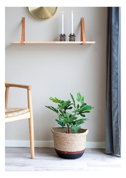 Sztuczna roślina (wysokość 60 cm) Fig – House Nordic