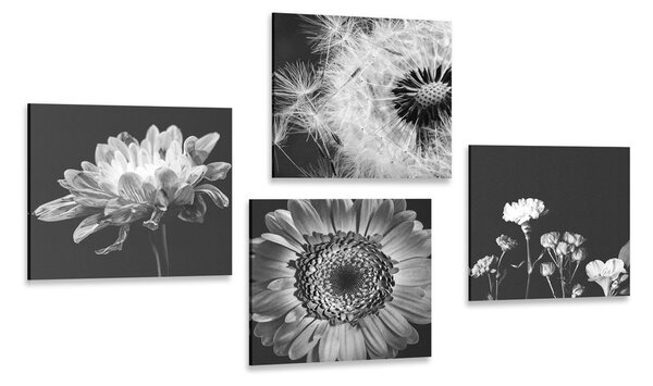 Zestaw obrazów czarno-białe delikatne kwiaty