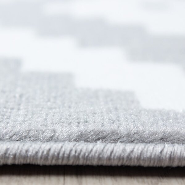 Jasnoszary dywan 160x230 cm Plus – Ayyildiz Carpets