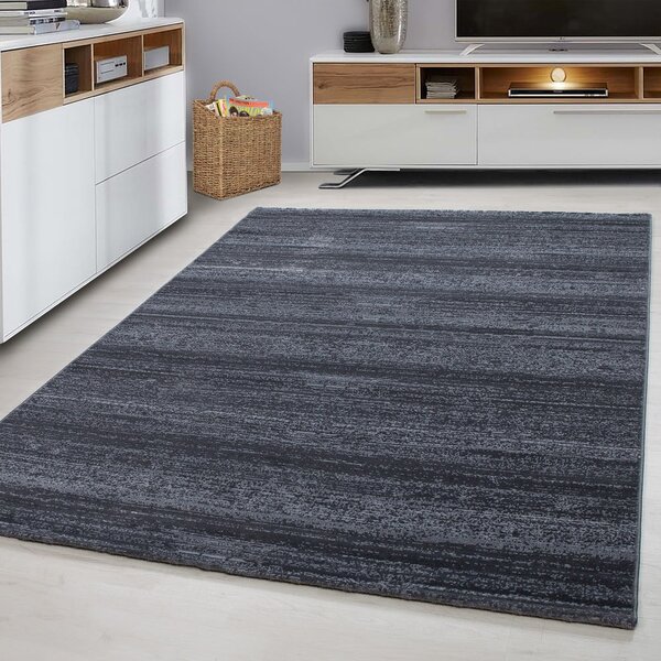 Szary dywan 80x150 cm Plus – Ayyildiz Carpets