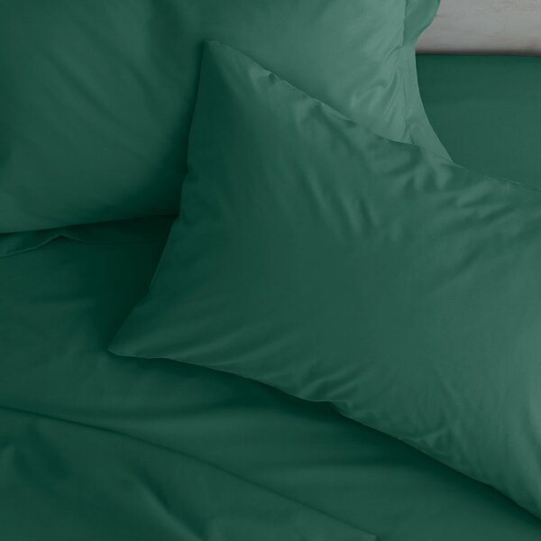 Poszewki na poduszki zestaw 2 szt. z perkalu 50x75 cm Easy Iron Percale – Catherine Lansfield