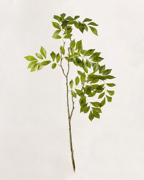 Gałązka dekoracyjna Green Leaf 80 cm