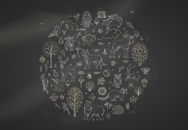 Fototapeta - Natura (196x136 cm)